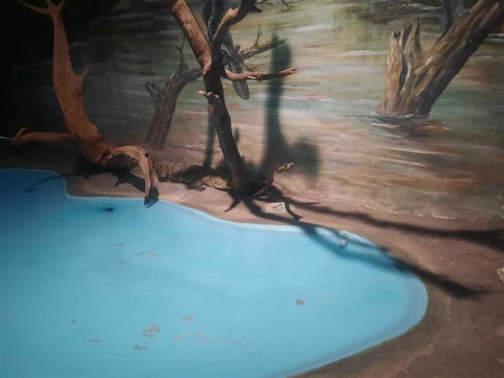 ZOOLÓGICO REGIONAL MIGUEL ÁLVAREZ DEL TORO